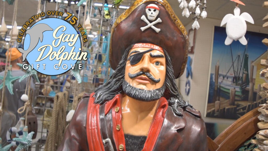 Gay Dolphin Gift Cove 16x9