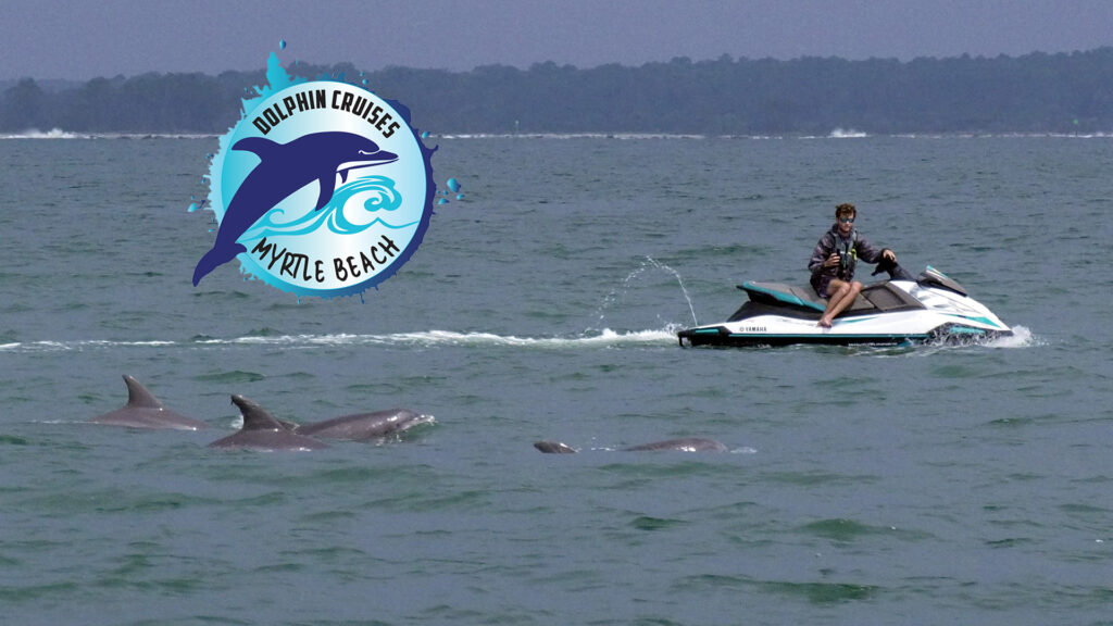 Myrtle Beach Dolphin Cruises 16x9